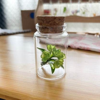 Lailo’s bouquet in a jar