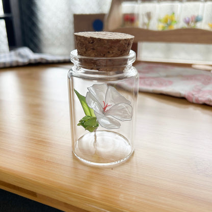 Lailo’s mallow flower in a jar