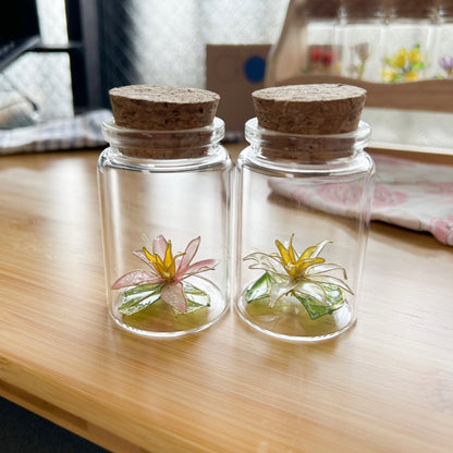 Lailo’s water lily in a jar