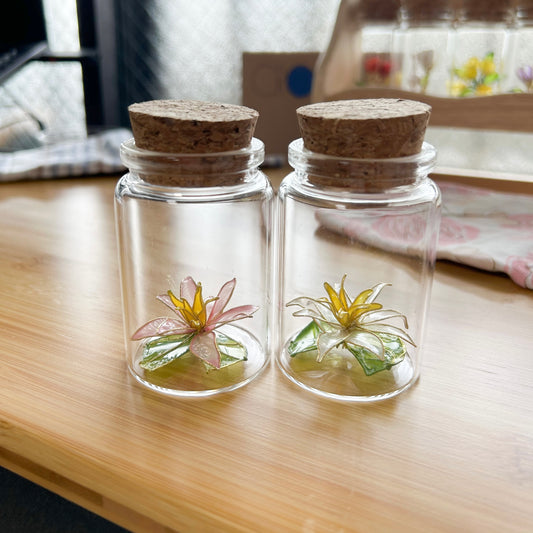 Lailo’s water lily in a jar