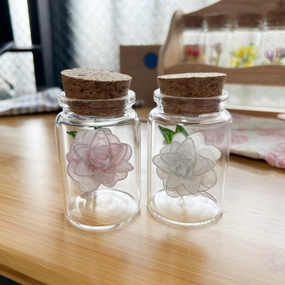 Lailo’s camellia flower in a jar