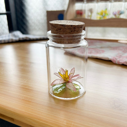 Lailo’s water lily in a jar